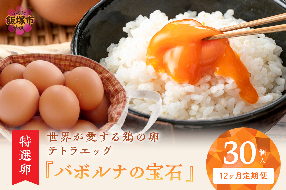 【J11-001】テトラエッグ特選卵『バボルナの宝石』（30個/月）【12カ月定期便】