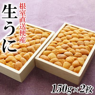 ふるさと納税 根室市 エゾバフンウニ150g×2折 F-40008