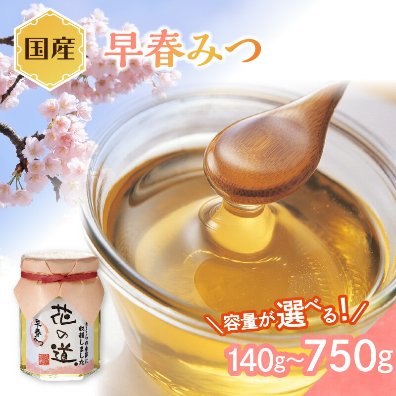 【ふるさと納税】国産 早春みつ 選べる内容量 (140g～750g) はちみつ ハチミツ 蜂蜜 ハニー 贈り物