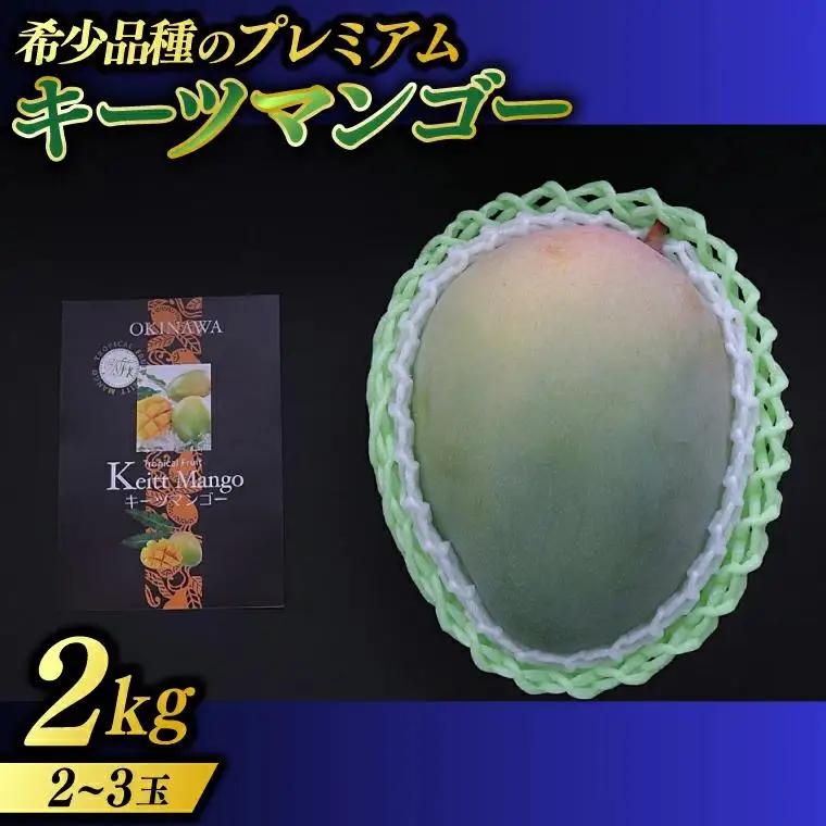 【2027年8月より順次発送】稀少プレミアム！！豊見城市産キーツマンゴー 約2kg(2～3玉) (BV002-2)
