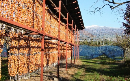 干し柿（たねなしつるし）３２個　２Ｌサイズ　0040-2403