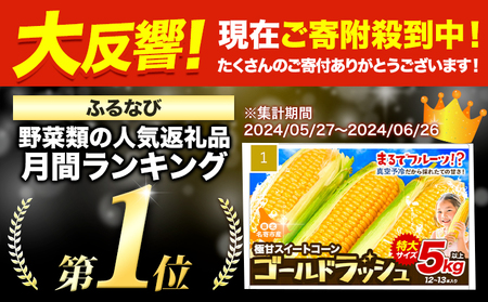 【特大】 とうもろこし 極甘 スイートコーン 「 ゴールドラッシュ 」 5kg 以上 12～13本 特大 サイズ《 7月 下旬- 9月 中旬頃出荷予定》 朝採れ 真空予冷 冷蔵 高糖度 先行予約 夏野