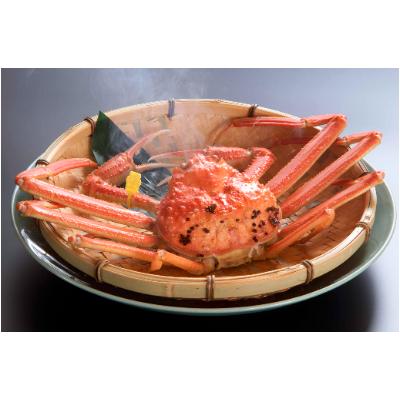 ふるさと納税 鯖江市 【11月6日漁解禁】福井冬の味覚!越前がに 1杯 (1,200〜1,300g)