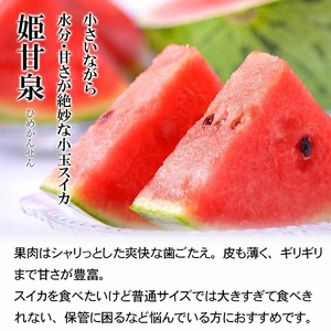 【令和8年産先行予約】 紅花メロン(赤肉) 2玉 と 小玉スイカ(姫甘泉) 1玉セット（合計約5kg） 山形県鶴岡市産　小林ファーム