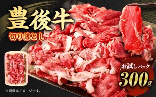 【お試し】豊後牛 切り落とし 約300g 牛肉 大分県産 国産
