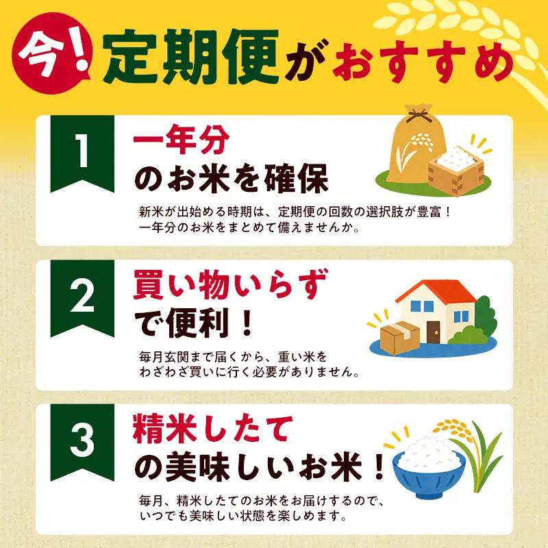 【11月上旬より配送】 コシヒカリ 5kg  6か月定期便 新潟県 上越市産 令和8年産 お米 精米 米 ご飯 送料無料