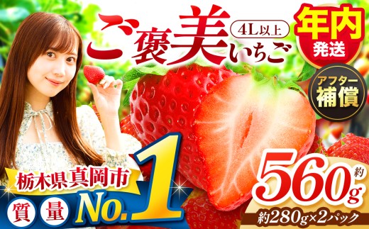 いちご【先行予約】【年内発送】とちあいか いちご 4Lサイズ以上 一粒の贅沢！ 取り寄せ ご褒美 約280g×2パック合計約560g【栃木県 真岡市産】いちご 果物 イチゴ 苺 旬 産地直送 国産