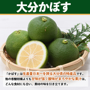 かぼす果汁 (計3.6L・1.8L×2本) カボス フルーツ くだもの 柑橘 大分県産 【opng008】【全国農業協同組合連合会 大分県本部】