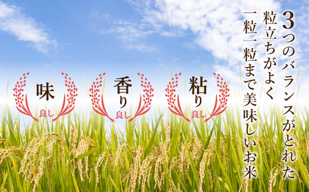 小松産こしひかり精米5kg×2袋 015031
