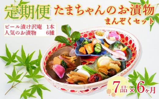 定期便 6ヶ月 野菜 漬物 詰め合わせ 季節野菜 7種 沼津まんぞく セット 小分け 旬 つけもの 漬け物 漬け もの たくあん 人気 浅漬け お醤油漬け 酢漬け ビール漬け 静岡県