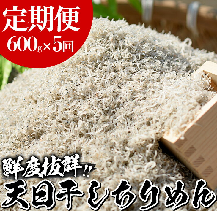 【ふるさと納税】＜定期便・全5回＞鹿児島県産「網元の天日干しちりめん(計600g・200g×3袋×5回)漁師直送だから新鮮！国産 しらす シラス じゃこ 直送 魚 魚介類 さかな 小魚 カルシウム【大久保水産】