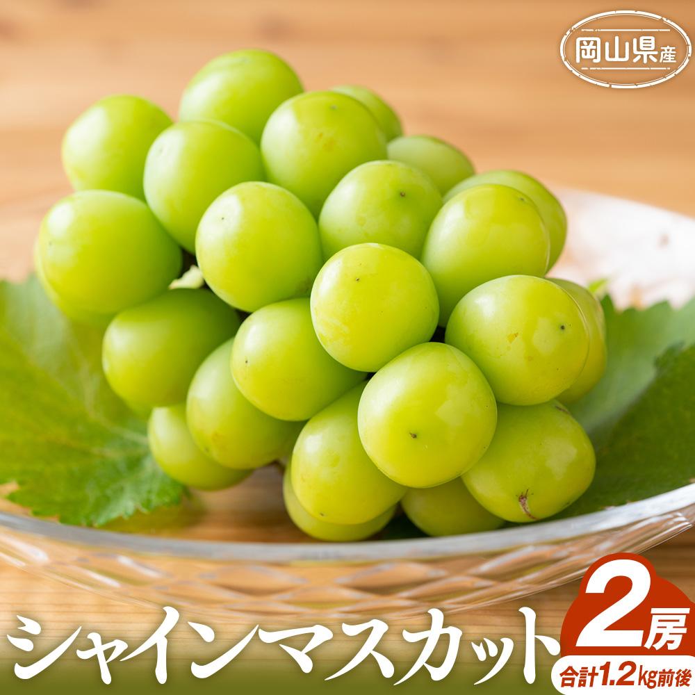 【ふるさと納税】ぶどう 2025年 シャインマスカット 2房 合計1.2kg前後 岡山県産 | フルーツ 果物 くだもの 食品 人気 おすすめ 送料無料