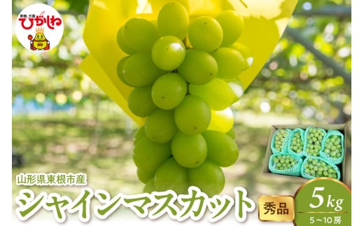 2026年産 シャインマスカット 5kg（5-10房） 秀品 山形県 東根市　hi082-060