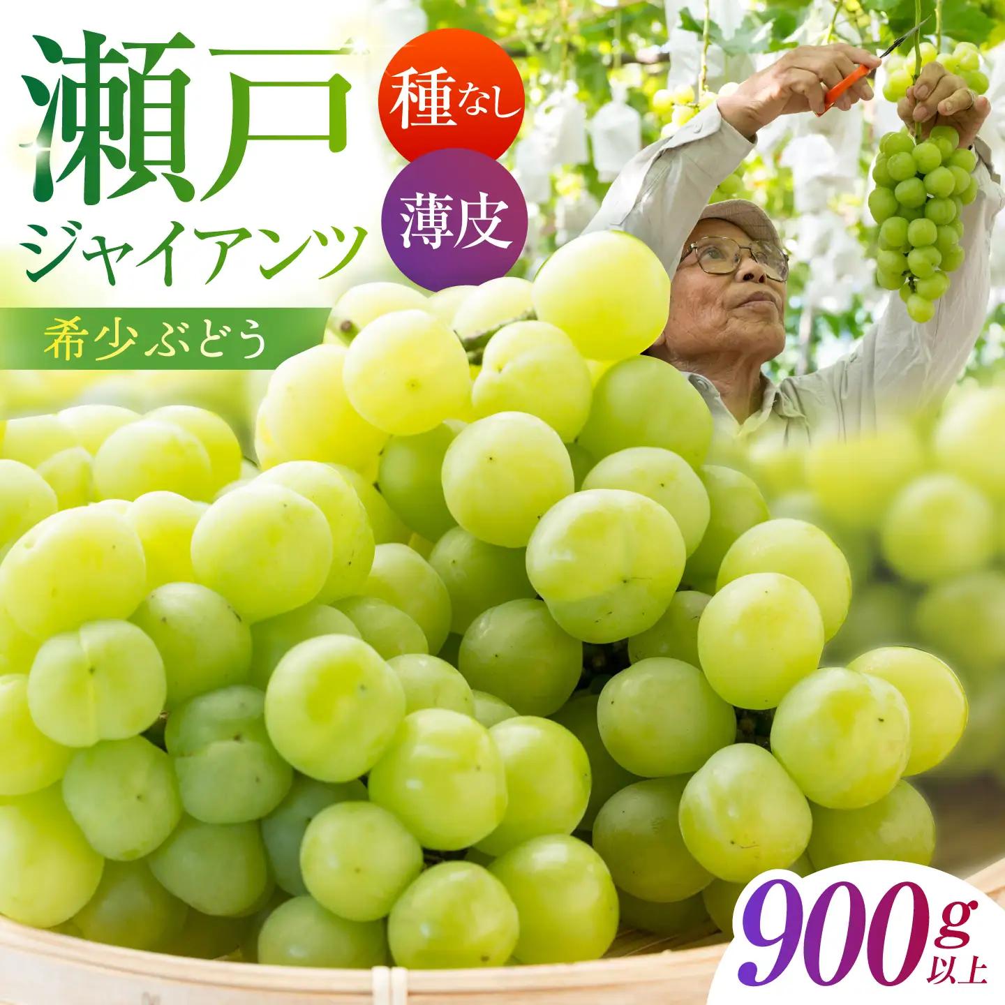 【先行予約】 瀬戸ジャイアンツ 900g以上 【小林農園】 / ブドウ ぶどう 果物 種なし[HAX003]