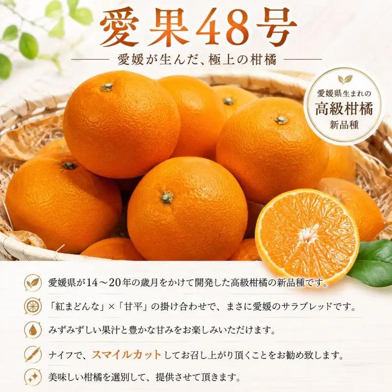 愛果48号 約2.5kg 家庭用 【2027年3月上旬頃から順次発送】 | みかん 愛媛 愛果 愛果48号 紅プリンセス と同品種 柑橘 ミカン アイカ かんきつ mikan フルーツ くだもの 果実