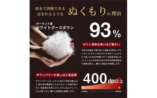 羽毛肌掛けふとん（ダブル）ハンガリー産グース93％【創業100年】 夏用 抗菌 抗ウイルス 防臭 防ダニ 肌掛け布団 寝具 羽毛ふとん 山梨 富士吉田