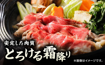 【6回定期便】くまもと黒毛和牛 牛ローススライス 牛すき・しゃぶしゃぶ用 500g（250g×2pc）【馬刺しの郷 民守】 スライス すき焼き しゃぶしゃぶ 小分け すきやき スライス肉  [ZBL0