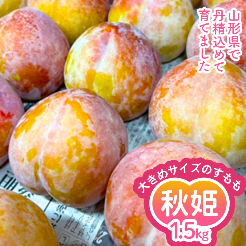 【ふるさと納税】 ≪先行予約令和8年度発送≫ 山形県産 大きめサイズのすもも秋姫 1.5kg 秀品 贈答品 FSY-2649