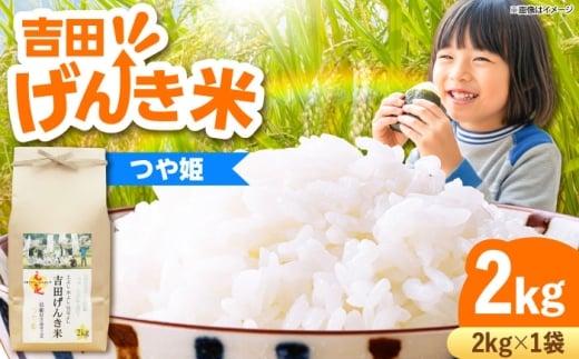 お米【新米】吉田げんき米つや姫 2kg ｜つやひめ げんき 米 こめ おこめ はくまい 白米 ライス 精米 コメ 2キロ 使いやすい ごはん ご飯 おにぎり お弁当 朝ごはん 便利 朝食 食卓 主食 グルメ おいしい ふっくら もちもち 食感 国産 新生活 一人暮らし 家族 家庭用 ご当地 ごはんソムリエ おうちごはん おすすめ 人気 島根県雲南市/有限会社藤本米穀店 [AIDB122]