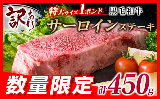 訳あり 数量限定 特大サイズ 1ポンド 黒毛和牛 サーロイン ステーキ 計450g 牛肉 国産 焼肉 鉄板焼き キャンプ BBQ グランピング アウトドア 人気 おすすめ 贅沢 ご褒美 記念日 お祝 肉厚 おかず 食品 グルメ 手土産 お取り寄せ 宮崎県 日南市 送料無料_BC78-23