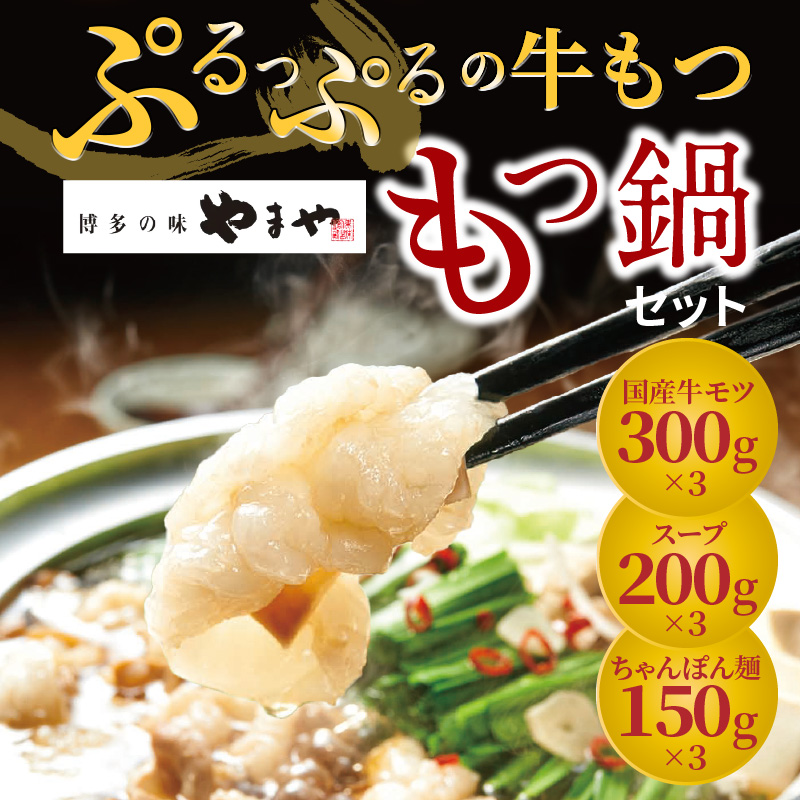 ぷるっぷる♪博多もつ鍋セット（あごだし醤油味）3～4人前×3個セット TY0206