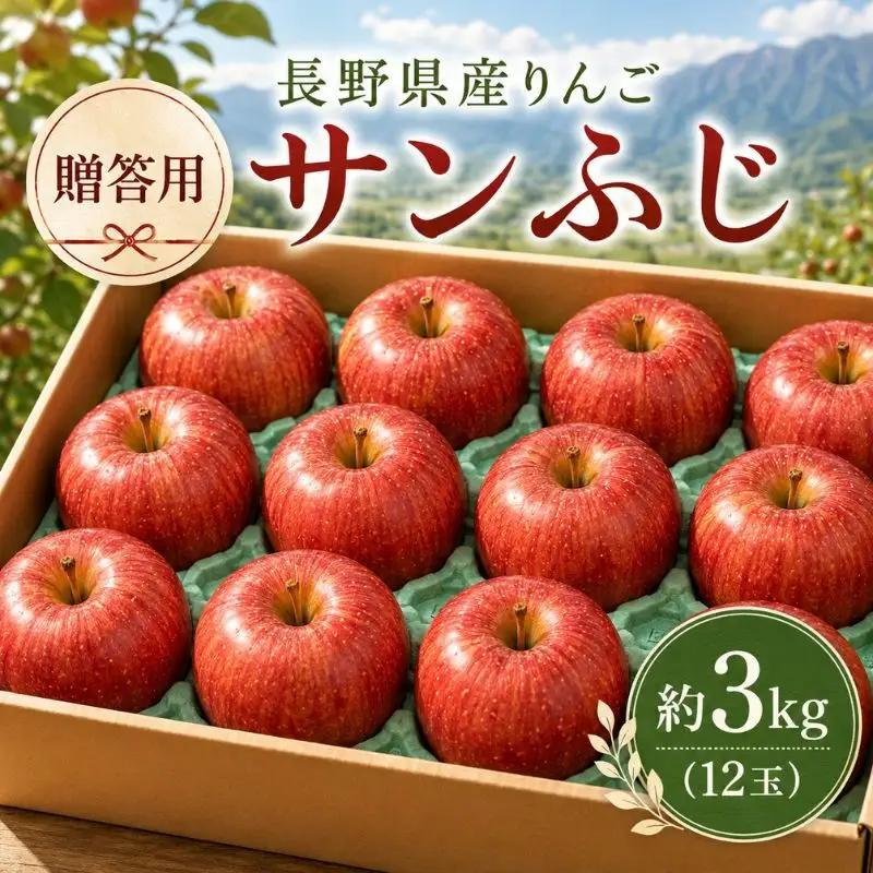 りんご 長野 贈答用 サンふじ 約3kg りんご