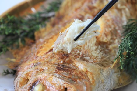 【尾頭付きの縁起物】 活塩焼き鯛（中サイズ） 1匹（約35㎝・約550g） （18-21）