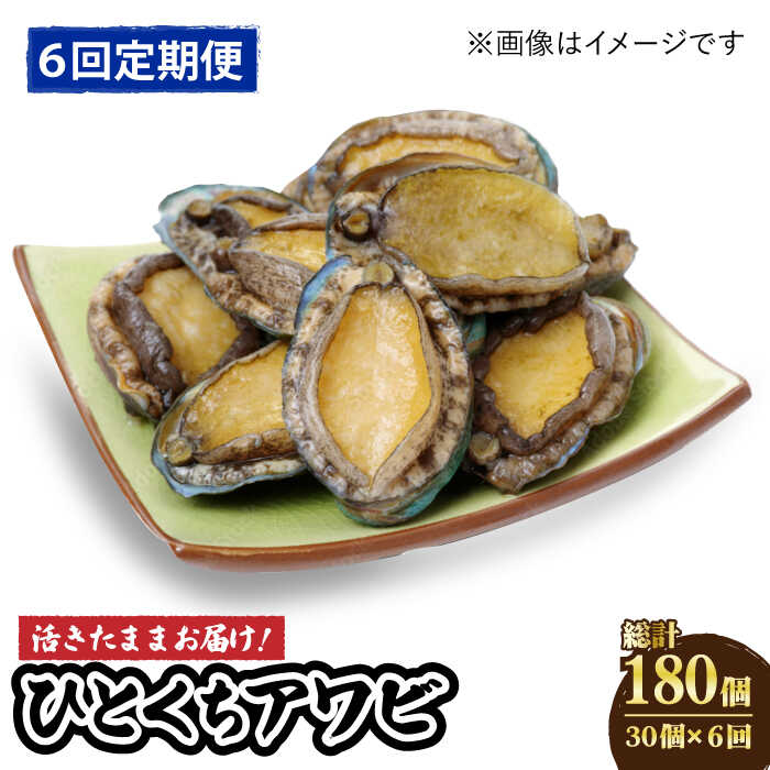 【ふるさと納税】【全6回定期便】【活きたままお届け！】 上五島産 養殖 ひとくち アワビ 厳選 30個【豊建設株式会社】 [RAE010]