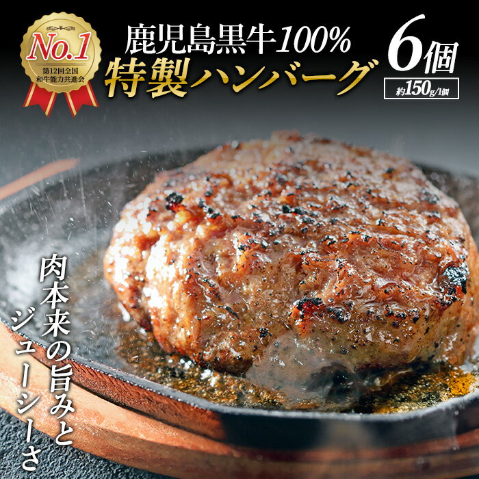 【ふるさと納税】鹿児島黒牛特選ハンバーグ(計約900g・約150g×6個)国産 鹿児島 ハンバーグ 冷凍 セット 詰め合わせ 惣菜 肉 黒牛 牛肉 加工品 小分け 簡単調理 おかず【nixy中山亭】 chuzan-7011