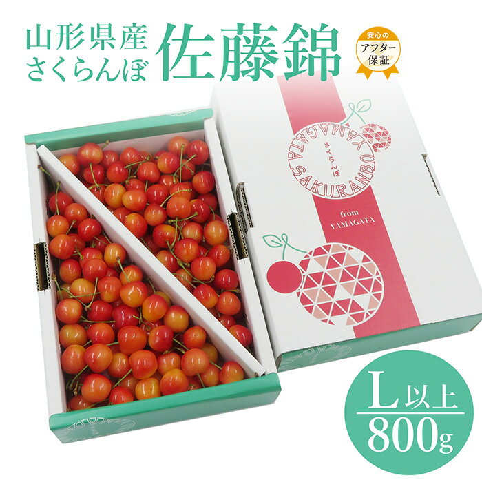 【ふるさと納税】【2025年6月発送】さくらんぼ佐藤錦800g（L以上・バラ詰）_H110(R7)