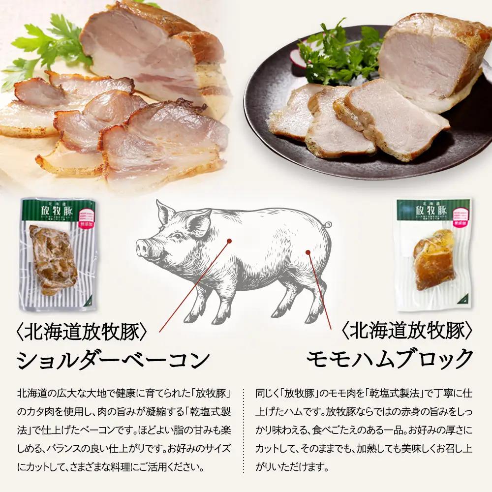 「北海道放牧豚ショルダーベーコンとモモハムブロック」とトモヱベーグル「北の麦輪」10個セット【C9903101】