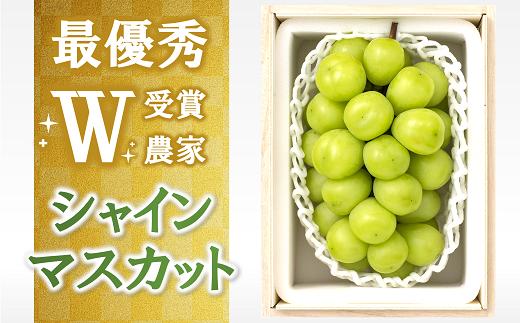 【令和7年産先行予約】【最優秀賞W受賞農家】 シャインマスカット 700g以上 (1房 特選) 《令和7年9月中旬～発送》『生産者 佐藤 大輔』 マスカット 葡萄 ぶどう 種なし 果物 フルーツ デザート 山形県 南陽市 [1031]