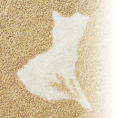 ふるさと納税 土浦市 【数量限定】令和7年産 茨城県産 ミルキークイーン 精米 5kg 茨城 の美味しい お米 白米 |  | 02