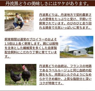 【訳あり 緊急支援】地鶏 丹波黒どり 手羽先 3kg＜京都亀岡丹波山本＞500g ×6パック 冷凍限定《特別返礼品 鶏肉 小分け 国産鶏 国産鶏肉 京都府産鶏肉 京都産鶏肉 地鶏鶏肉 鶏肉地鶏 鶏肉大