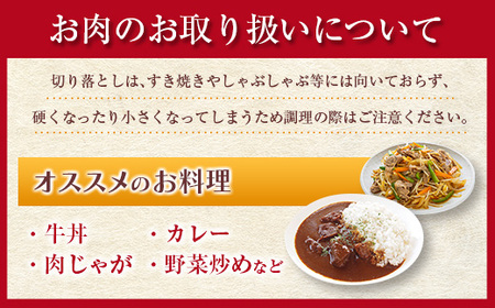 鹿児島県産 黒毛和牛 切落し 900g　K208-019 肉 牛 国産 赤身 万能 牛丼 牛飯 野菜炒め 炒め物 肉じゃが ハヤシライス カレー 冷凍  便利