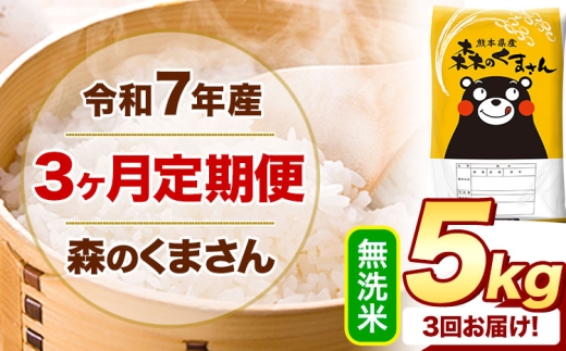 【3ヶ月定期便】 令和7年産 無洗米  森のくまさん 5kg 5kg×1袋  《お申し込みの翌月から出荷》 熊本県産 無洗米 精米 米 こめ コメ お米 kome