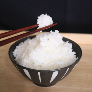 [先行予約 定期便／3ヶ月] 日光市産コシヒカリ「しゃりまんてん」計15kg (5kg×3回)｜令和7年度米 新米 こしひかり 白米 精米 ブランド米 ごはん 米 栃木県産 国産 産地直送 [0731