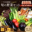 【ふるさと納税】京の旬野菜セットL平飼い卵付き（栽培期間中農薬・化学肥料不使用）＜アスカ有機農園＞ 1回 4回 6回 12回 定期便 回数 選べる 野菜 京野菜 旬野菜 旬 卵 玉子 平飼い セット 詰め合わせ 京都府 京丹後市 ふるさと納税 野菜 生産者応援 農家応援 送料無料