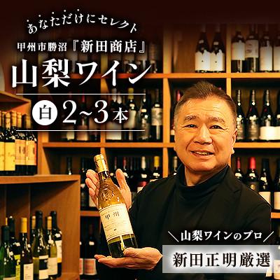 ふるさと納税 甲州市 山梨ワインと言ったら 白!ワインのプロ「新田正明」があなただけにセレクト 白ワイン2〜3本 甲州勝沼