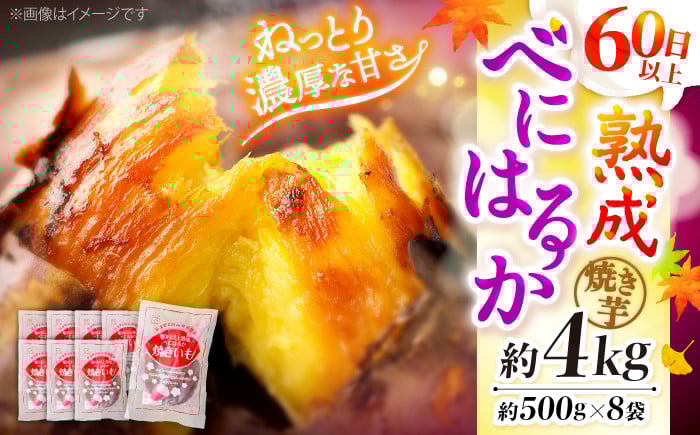 
                  【ねっとり濃厚！】焼き芋 熟成 紅はるか やきいも 冷凍 4kg（約500g×8袋）焼き芋 芋 いも 焼芋 さつまいも やきいも ヤキイモ さつまいも やき芋 冷凍 小分け 個包装 冷やし焼き芋 焼き芋 やきいも 焼芋 やきいも ヤキイモ スイーツ おやつ デザート お菓子 小分け 国産 糖度 サツマイモ 甘い あまい 芋 yakiimo imo  焼き芋＜大地のいのち＞ [CDA013]
                
