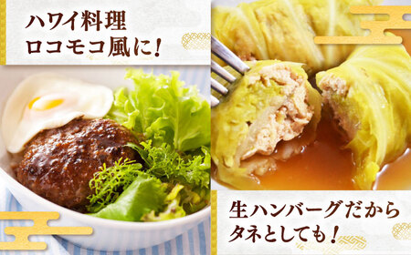 国産黒毛和牛本生ハンバーグ 計600g（120g×5個）/ ハンバーグ 冷凍 小分け 簡単調理 和牛 / 佐賀県 / 株式会社中山牧場[41AOCW004]