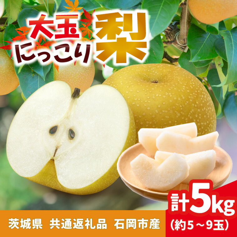 【ふるさと納税】大玉にっこり梨　5kg(5〜9玉)県内共通返礼品石岡市産【配送不可地域：離島・沖縄県】 (BR174)