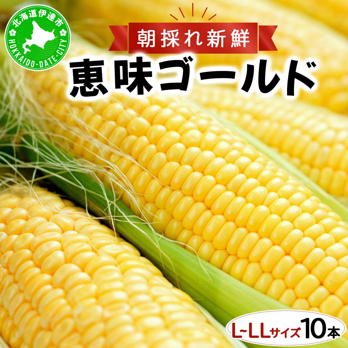 【 2026年先行予約】北海道 朝もぎ とうもろこし 恵味 ゴールド L-LLサイズ 10本 スイート コーン トウモロコシ とうきび 旬 完熟 野菜 採れたて 朝採り 甘い めぐみ 産地直送 道産 送料無料
