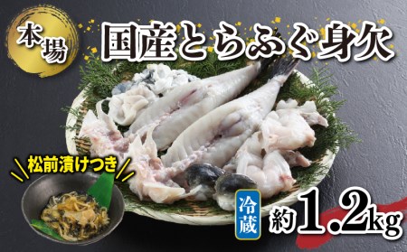 国産とらふく身欠（約1.1～1.3kg）/松前漬 下関 《海（かい）：KA》