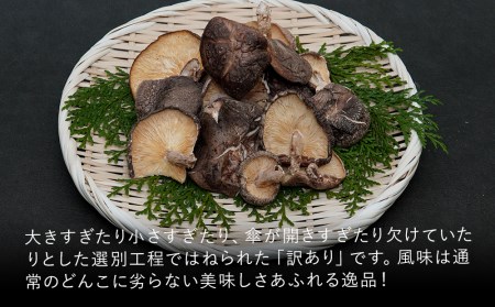 乾燥椎茸 訳あり 椎茸100g×5パック 干し椎茸 しいたけ 乾燥しいたけ 原木 大分県産 九州産 中津市 国産