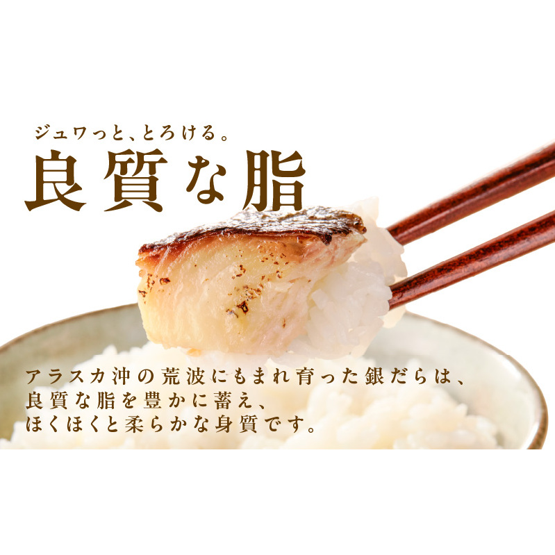 熟成 銀鱈 西京漬け 120g×6切れ 099H2549_イメージ4