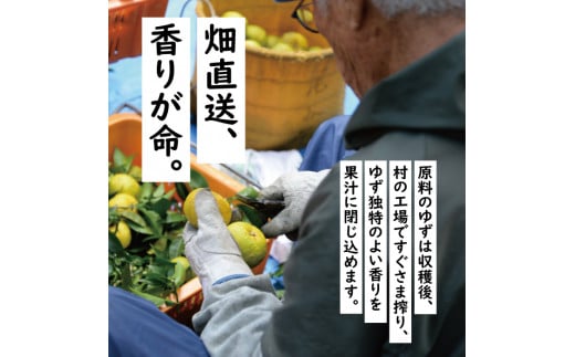 （定期便）馬路村ゆずドリンクセット (2)（13本入り）×6ヶ月 フルーツジュース 柚子ジュース アルミ缶 はちみつ ドリンク 清涼飲料水 飲料 柚子 ゆず 果汁 柑橘 国産 有機 オーガニック 無添