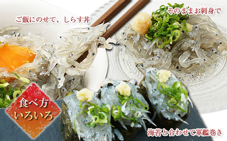 しらす 100g 4パック 魚貝類 海の幸 海鮮 しらす