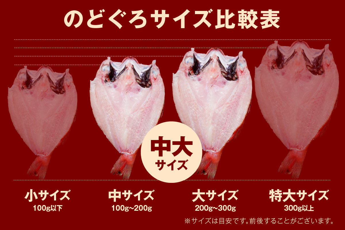 のどぐろ一夜干し無添加個包装２～３枚「中～大型１５０～２５０ｇサイズ」 産地直送 干物 魚　一夜干し 人気 大きい 天然 ボリューム ノドグロ 【1928】