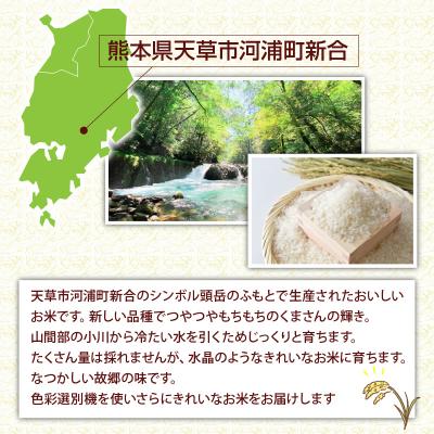 ふるさと納税 天草市 【先行受付】河浦町新合産 くまさんの輝き 精米 6kg(3kg×2)_S112-014A |  | 01